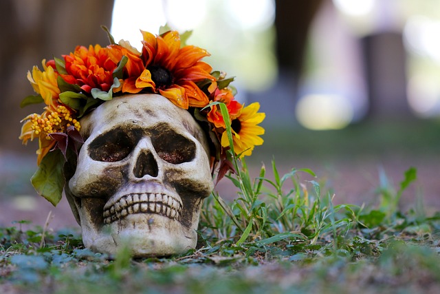 calaveras y flores para halloween
