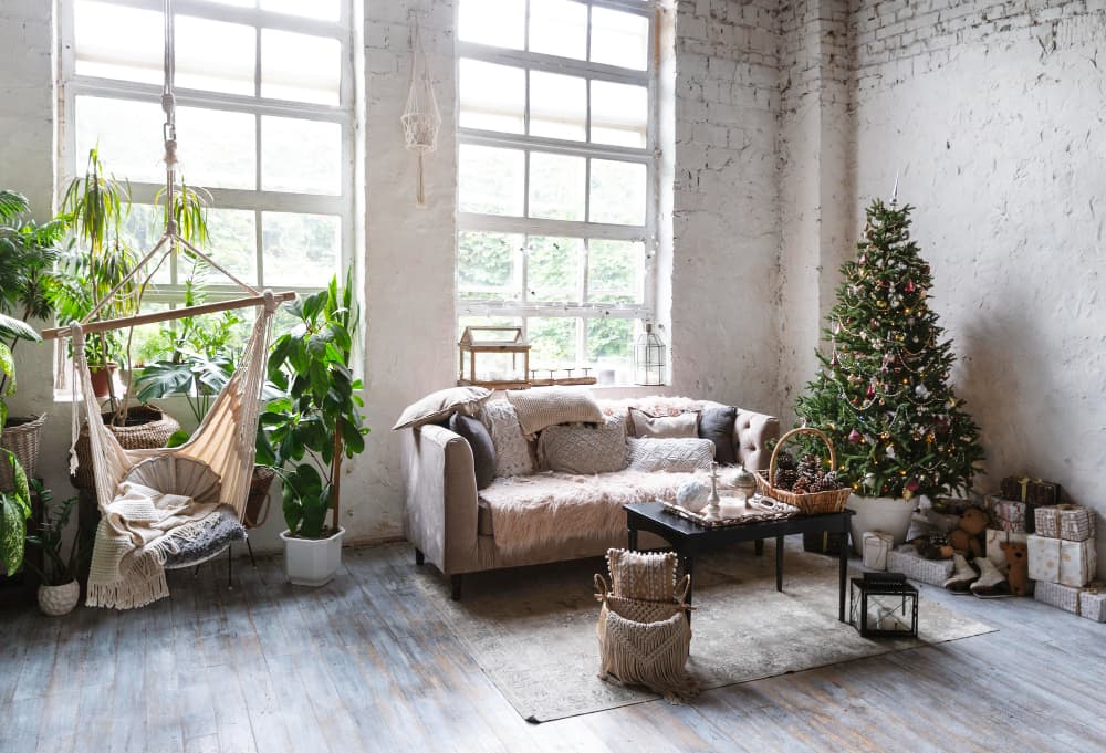 plantas para esquinas en el hogar