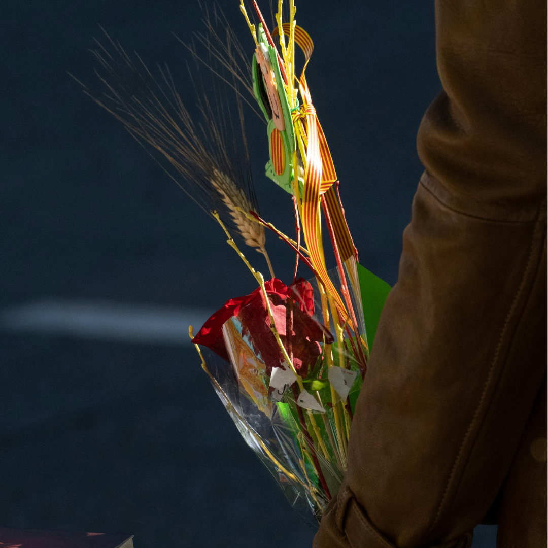 Flores secas para decorar