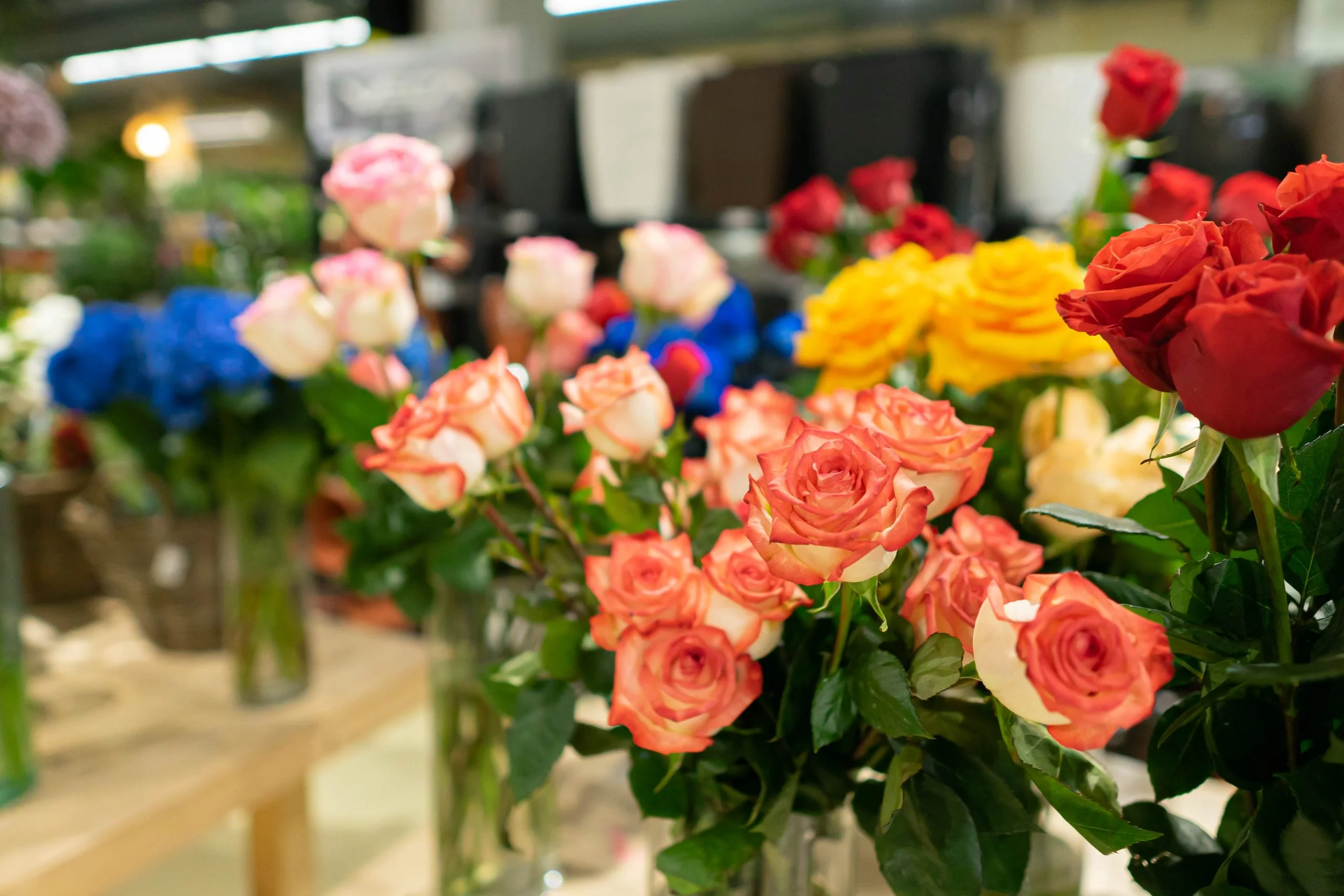 variedad rosas de colores