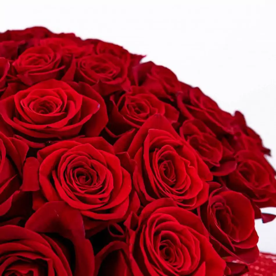 Bouquet de 101 roses