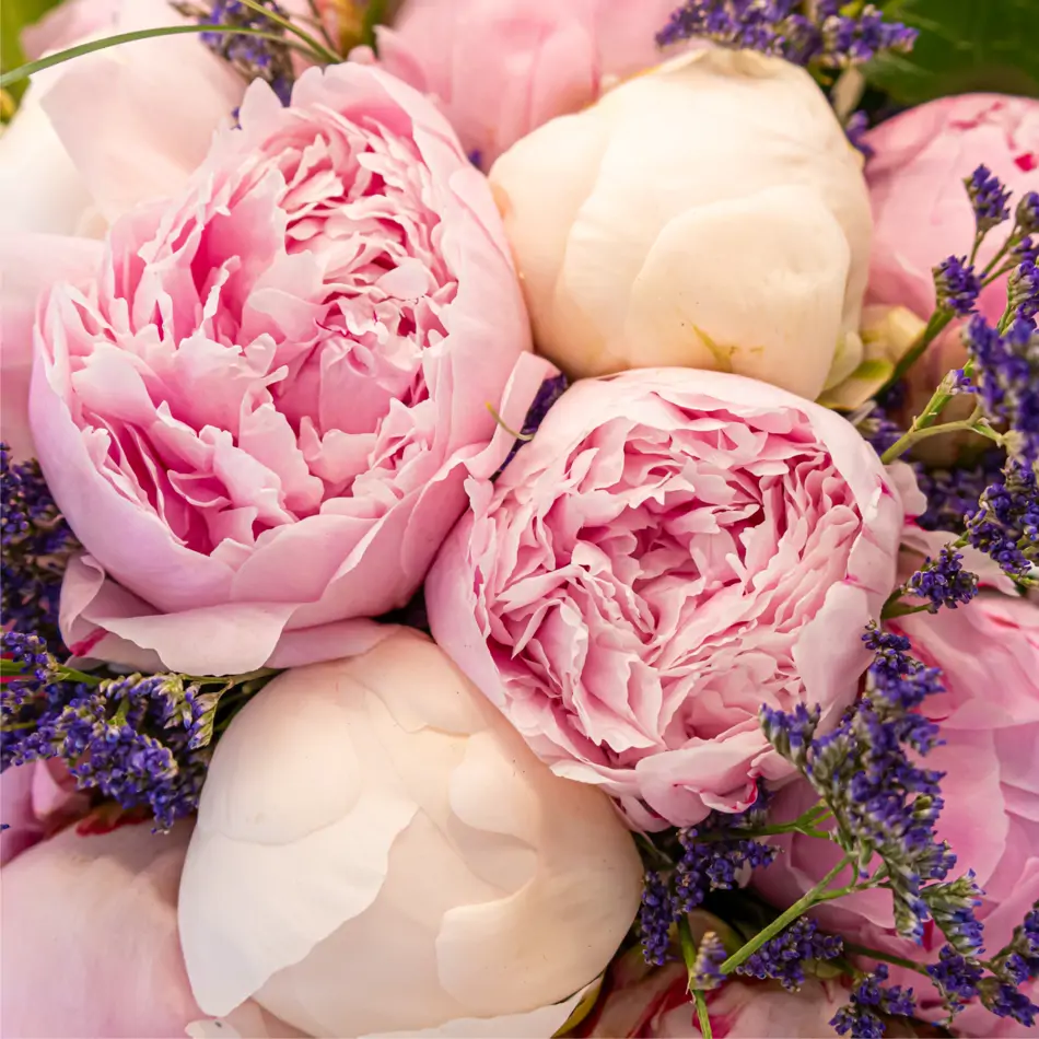 Bouquet peonia