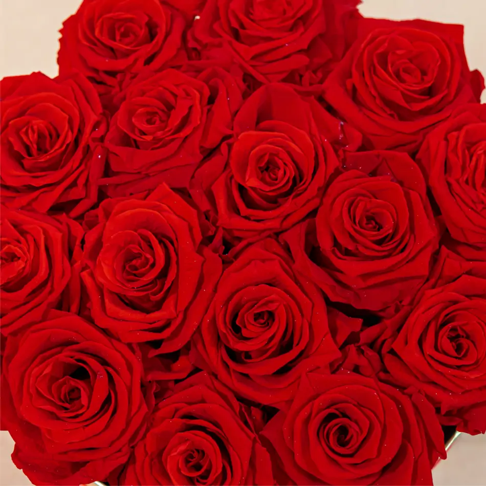 Caja de rosas preservada grande