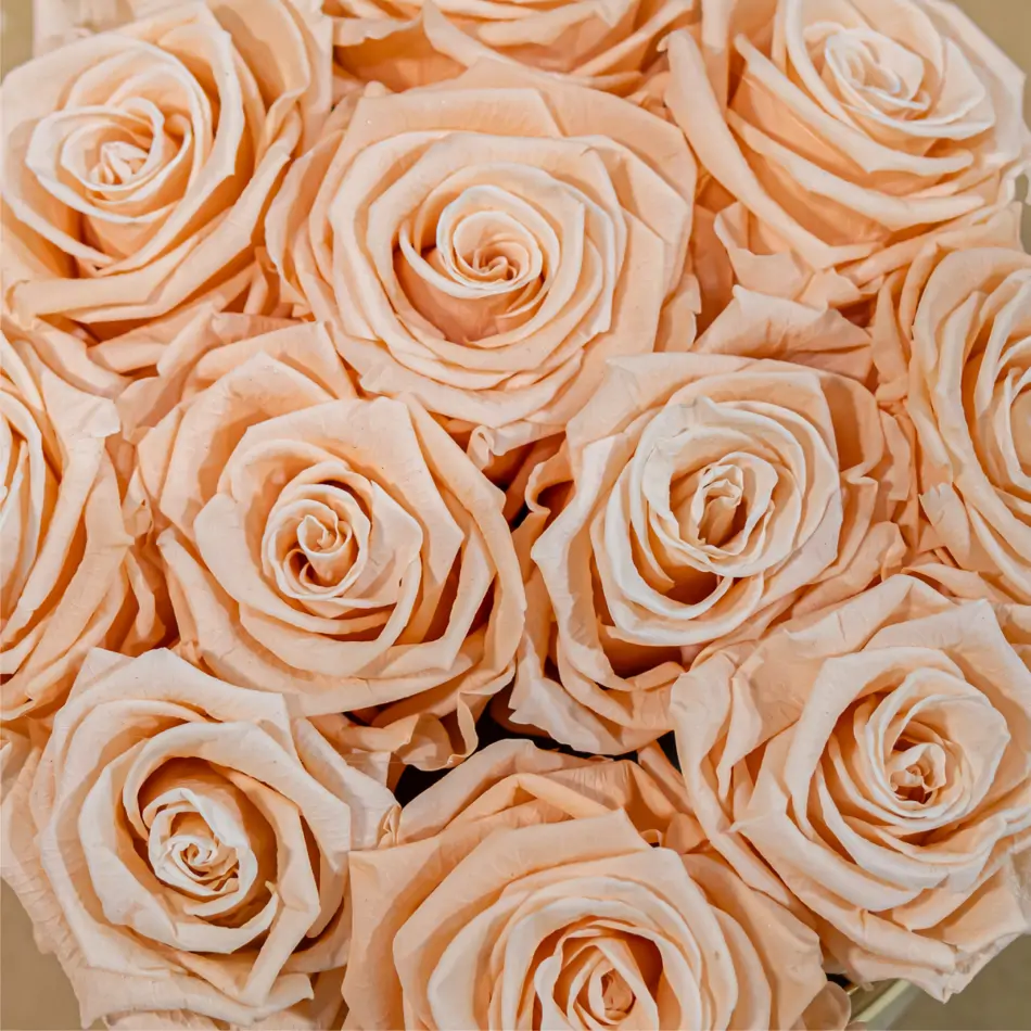 Caja de rosas preservada mediana