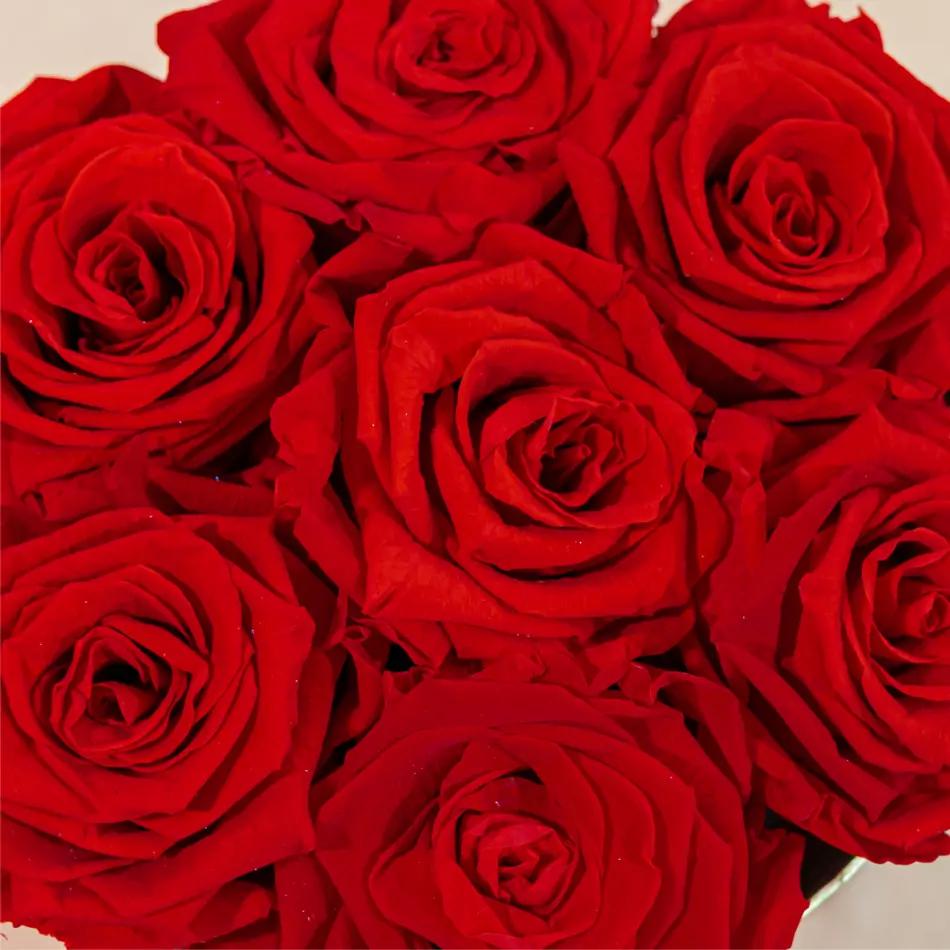 Capsa de roses preservada petita