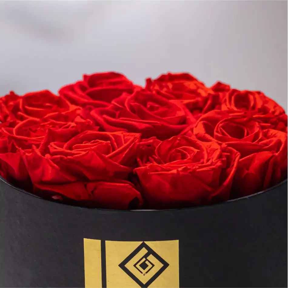 Caja de Rosas Preservadas - Lulu Rose Regalo Elegante