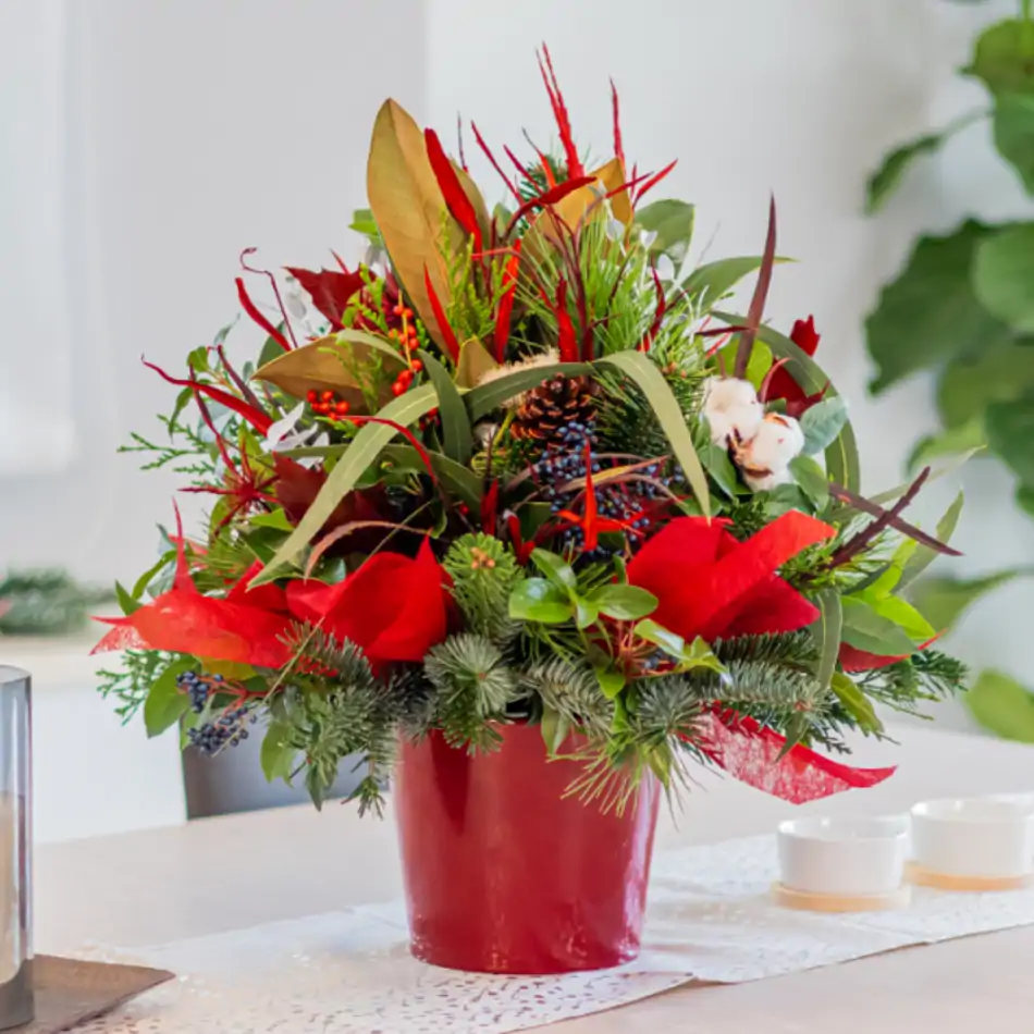 Centro navideño Noel