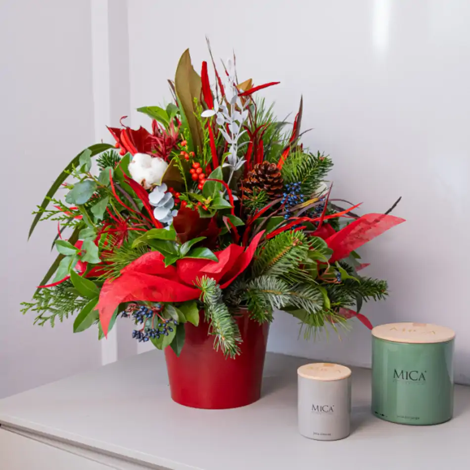 Centro navideño Noel