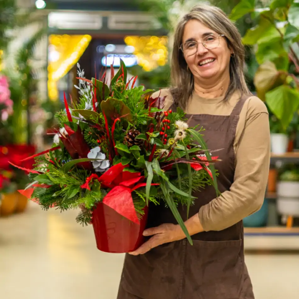 Centro navideño Noel