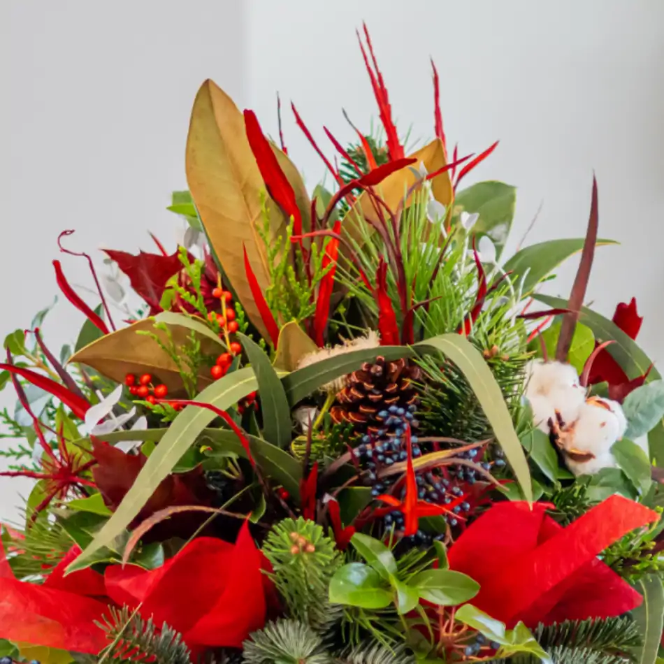 Centro navideño Noel