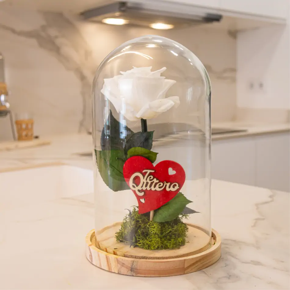 Cúpula de cristal con rosa liofilitzada en kokedama