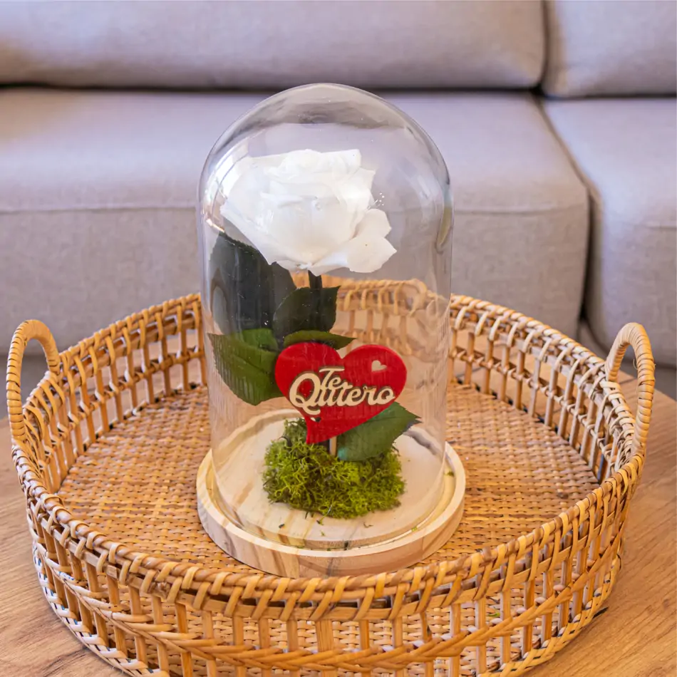 Cúpula de cristal con rosa liofilitzada en kokedama
