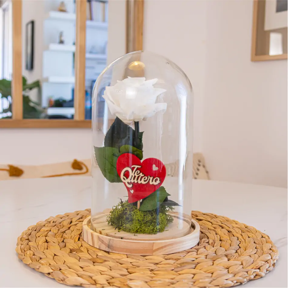 Cúpula de cristal con rosa liofilitzada en kokedama