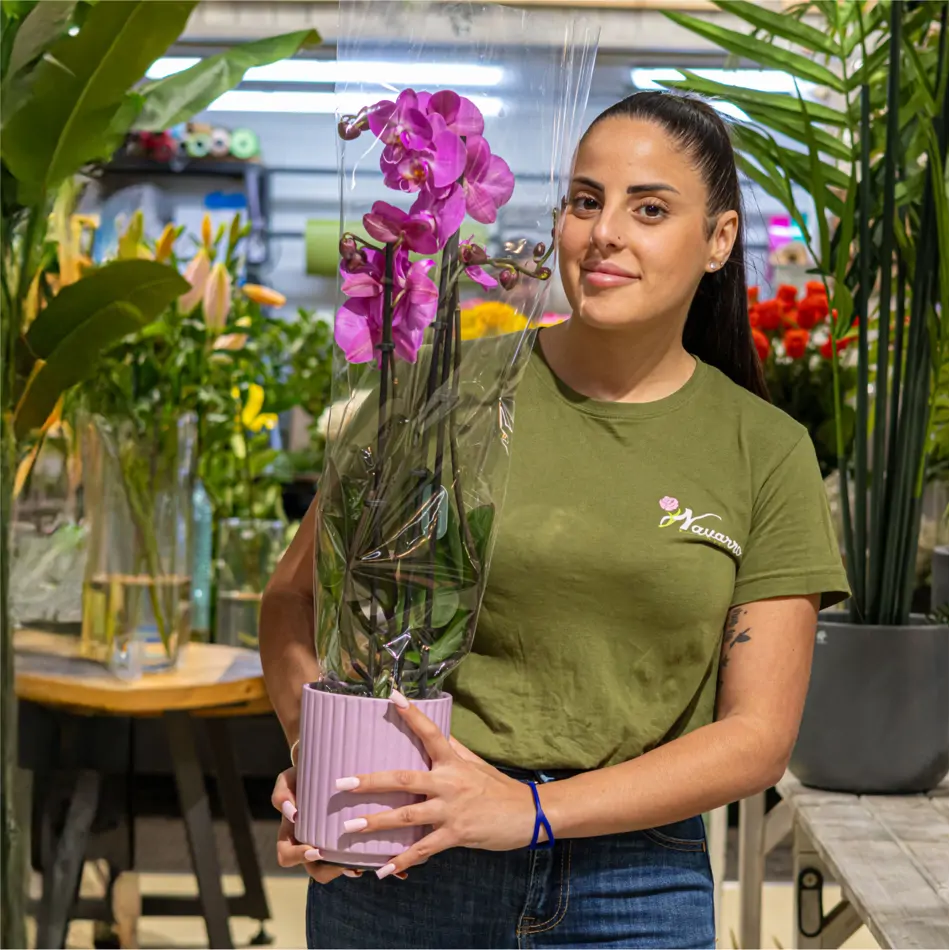 Phaleanopsis fucsia en base cerámica fucsia