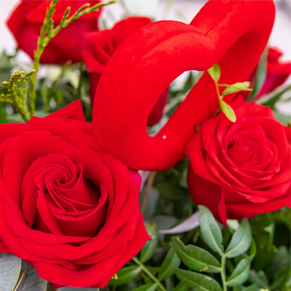 Ramo Clásico de 12 Rosas Rojas con Detalle Especial para San Valentín.SV2