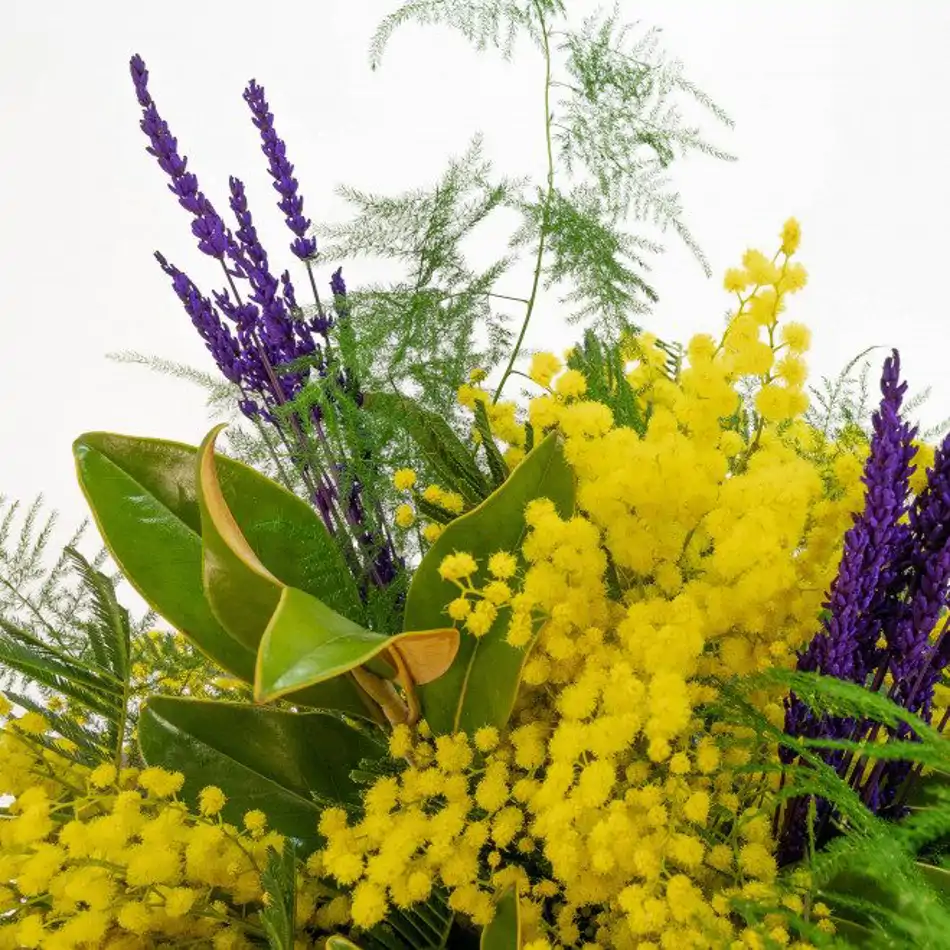Ramo de mimosa,lavanda y magnolia