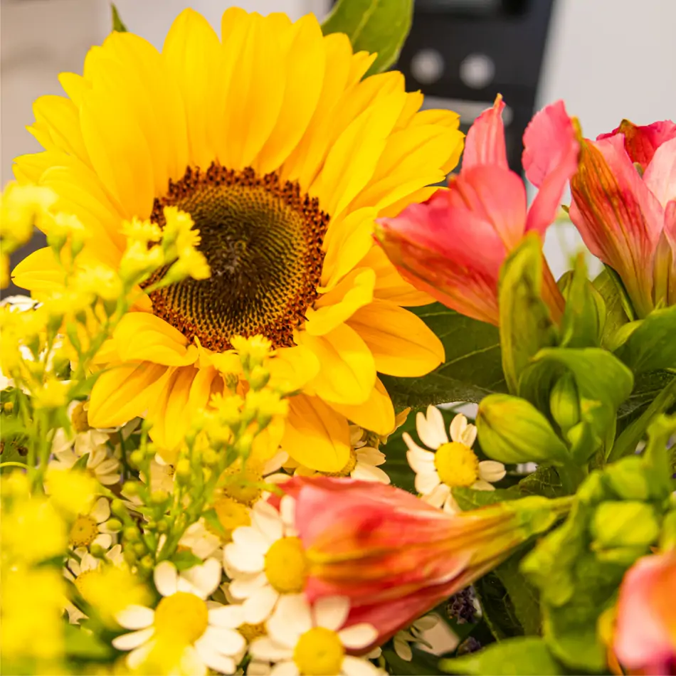 Ramo girasoles garden