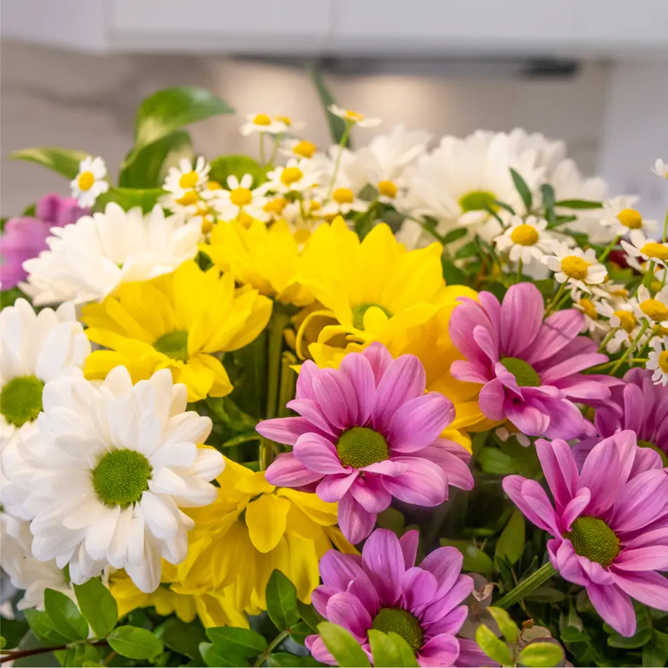 Ram margarides Primavera Fresca