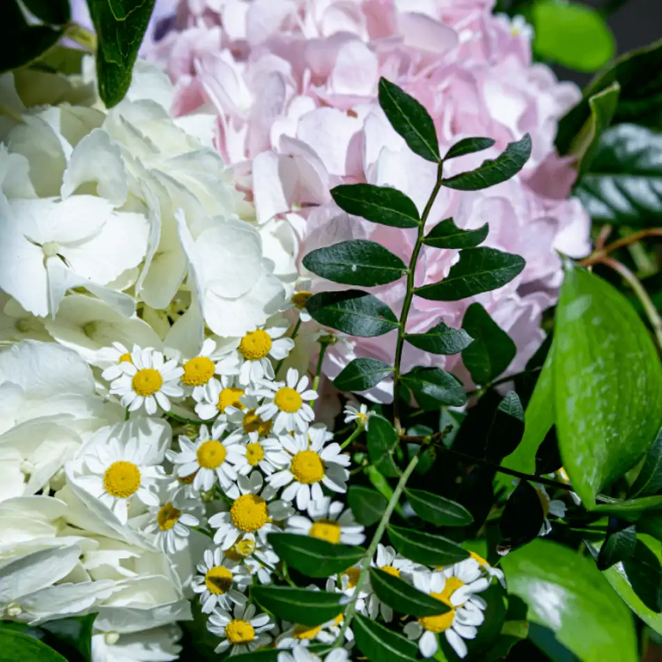 Ramo romántico de hortensias