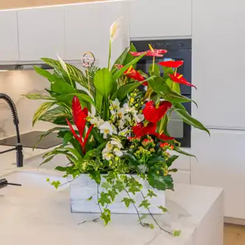 Comprar Caja jardín natural en Barcelona