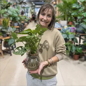 Comprar Andsansonii acuático en Barcelona