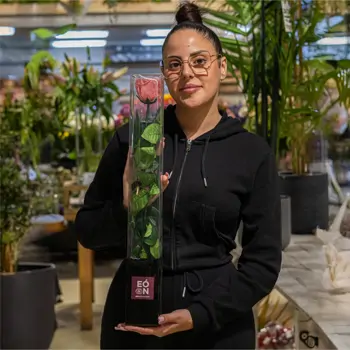 Comprar ROSA PRESERVADAS en Barcelona