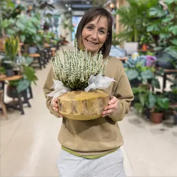 Comprar Composición rústica de callunas en Barcelona