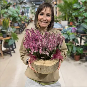 Comprar Composición rústica de ericas en Barcelona