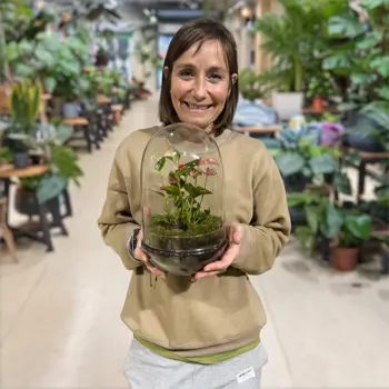 Comprar Cúpula de cristal con anthurium en Barcelona