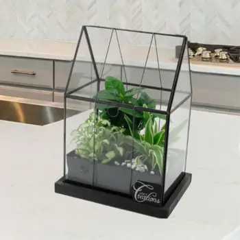 Comprar Invernadero con mini plantas en Barcelona