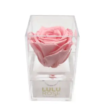 Comprar Joyero con rosa preservada en Barcelona