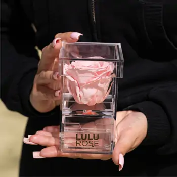Comprar Joyero con rosa preservada en Barcelona