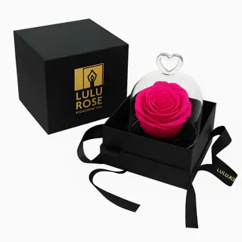 Comprar Mini cúpula de rosa Liofilizada Deluxe en Barcelona