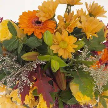 Comprar Minijarron otoñal en Barcelona