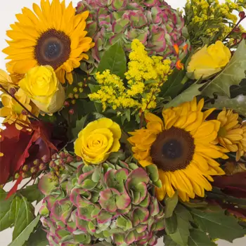 Comprar Ramo hortensias y girasol en Barcelona