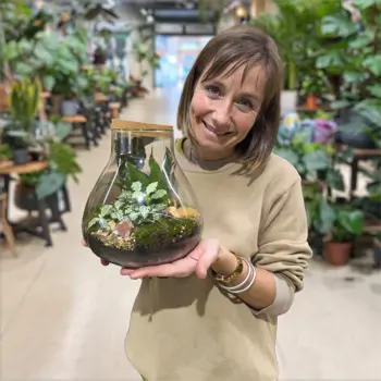 Comprar Terrario Karim en Barcelona