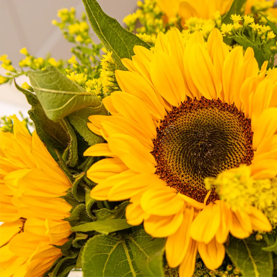 Vertical de girasoles